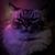 Dru Woods's profile image