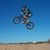 T.j. Anich's profile image