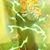 Javier Vegeta Cabral's profile image