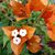 Ricky T. Cadeaux's profile image