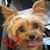 Amber Sketers's profile image