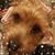 Tanya Hertzog's profile image
