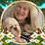 Pat Laird Cavanaugh's profile image
