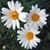 Sandi Goodson's profile image
