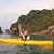 Betsy McPhillips Williams's profile image