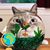 Jason Lee's profile image