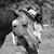 Tracy Farnham's profile image