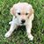 Kimber Oxendine Merriam's profile image