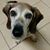 Sue Toomin Evans's profile image