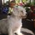 Leslie von Schoeneich's profile image