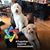Terri Fitzpatrick's profile image