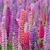 Tina Demers's profile image