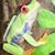 Tami Eckenrode's profile image