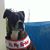 Fran Bazemore Benso's profile image