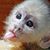 Dee-Dee B Dee-Dee's profile image