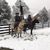 Shelia Rancher's profile image