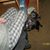 Darlene Sasser's profile image