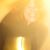 Jessie D Crain's profile image