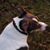 Elicia Dain Ewing Anderson's profile image