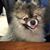 Kevin Sullivan's profile image