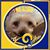 Lynn Maldonado Ott's profile image