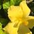 Michelle Hineman's profile image