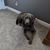 Julie Miller Brinegar's profile image