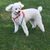 Peggy Sutton's profile image