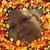 Kathy Raddatz's profile image
