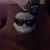 Tom Wheeler's profile image