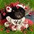 Gilbert N Peggy Chavez's profile image