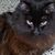 Judith Johnson's profile image
