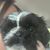 Shelle Molitor's profile image
