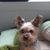 Mia O'Shea's profile image