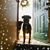 Carrie Toth's profile image
