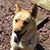 Mike Gamache's profile image