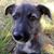 Stella Hinkle's profile image