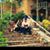 Edith Salvidrez's profile image
