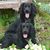Debbi Lilley's profile image