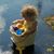 Dawn Donis Johnson's profile image