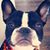 Winky Price's profile image