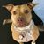 Deb Limback's profile image