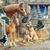Tanya King Roughton's profile image