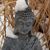 Thomas F. Anderson's profile image