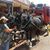 Julie Weakley Bell's profile image