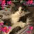Christina Aldridge's profile image