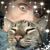 Crystal Caudillo's profile image
