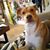 Gina Giangiobbe Reed's profile image