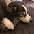 Terry Raby's profile image