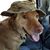 Todd Cadle's profile image